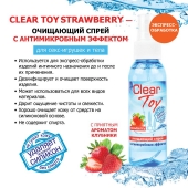 Очищающий спрей для игрушек CLEAR TOY Strawberry - 100 мл. - Биоритм - купить с доставкой в Реутове