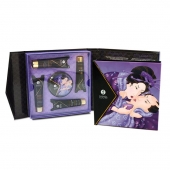 Подарочный набор Geishas secret из 5 предметов - Shunga - купить с доставкой в Реутове
