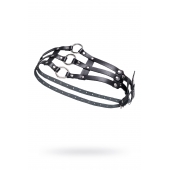 Черный кожаный пояс с кольцами - Pecado - купить с доставкой в Реутове