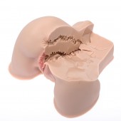 Мастурбатор-полуторс Naked Factory Kate - Naked Factory - в Реутове купить с доставкой