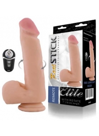 Перезаряжаемый ротатор с пультом ДУ - 18 см. - ToyFa