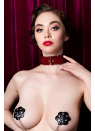 Красный ошейник из лакированного материала - ToyFa - купить с доставкой в Реутове