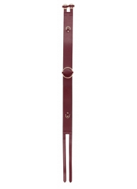 Бордовый ремень Halo Waist Belt - размер L-XL - Shots Media BV - купить с доставкой в Реутове