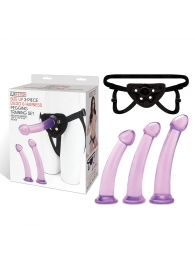 Тренировочный набор с тремя насадками Pegging Training Set - Lux Fetish - купить с доставкой в Реутове