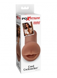 Мастурбатор-ротик Coed Cocksucker - Pipedream - в Реутове купить с доставкой