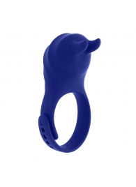 Синее эрекционное виброкольцо с клиторальной подушечкой и пультом ДУ Adjustable Fun Ring - Zero Tolerance - в Реутове купить с доставкой