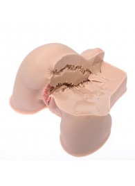 Мастурбатор-полуторс Naked Factory Kate - Naked Factory - в Реутове купить с доставкой