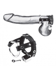 Утяжка на пенис на замочке Duo Cock And Ball Lock - BlueLine - купить с доставкой в Реутове