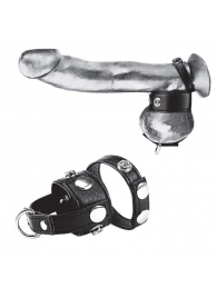Утяжка для мошонки и пениса Cock Ring With 1  Ball Stretcher And Optional Weight Ring - BlueLine - купить с доставкой в Реутове