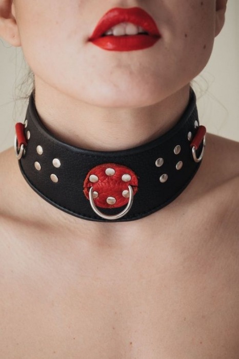 Кожаный ошейник с клепками и кольцами - БДСМ Арсенал - купить с доставкой в Реутове