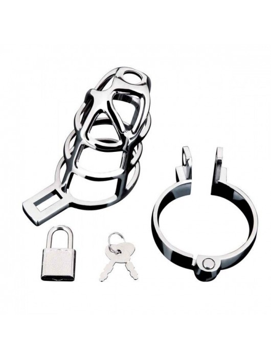Серебристая металлическая клетка для члена с замком Enslave Cock Cage - BlueLine - купить с доставкой в Реутове