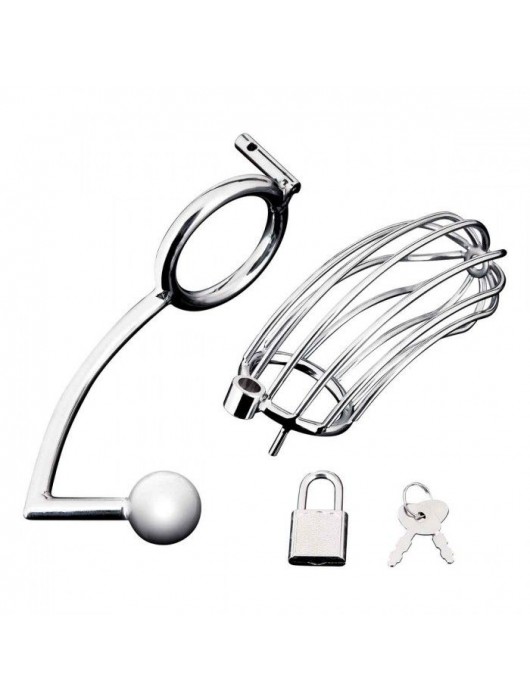 Серебристая металлическая клетка с анальным стимулятором Cock Cage - BlueLine - купить с доставкой в Реутове