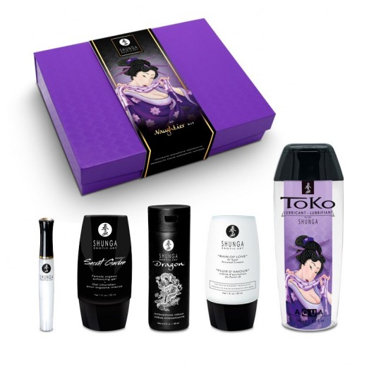 Подарочный набор Naughter Kit - Shunga - купить с доставкой в Реутове