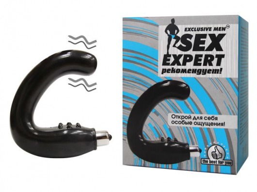 Чёрный массажёр простаты серии Sex Expert - Sex Expert - в Реутове купить с доставкой