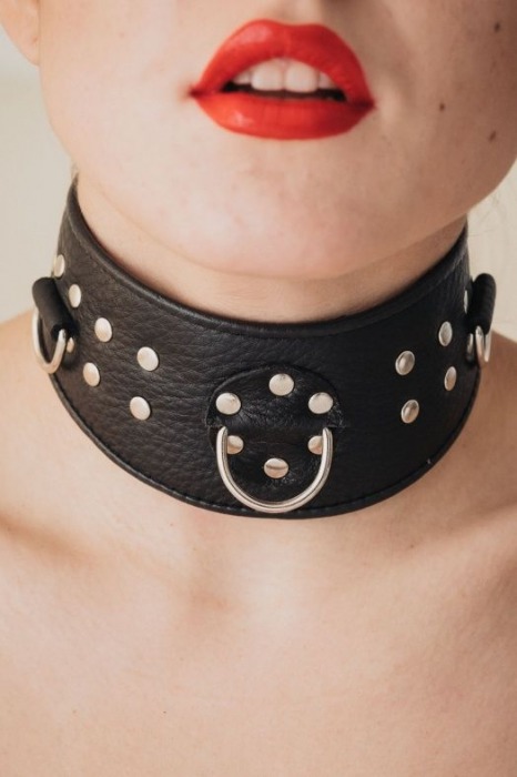 Кожаный ошейник для эротических игр - БДСМ Арсенал - купить с доставкой в Реутове