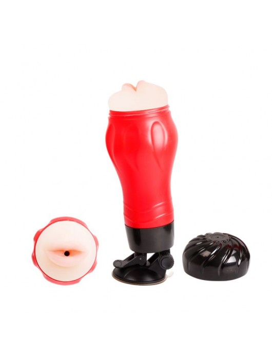 Мега-мастурбатор-ротик Flora - Baile - в Реутове купить с доставкой