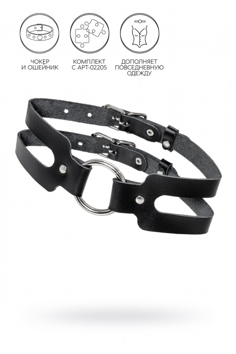 Черный кожаный чокер-ошейник из двух ремешков - Pecado - купить с доставкой в Реутове