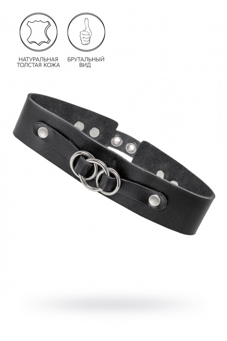 Черный чокер-ошейник со связанными кольцами на подложке - Pecado - купить с доставкой в Реутове
