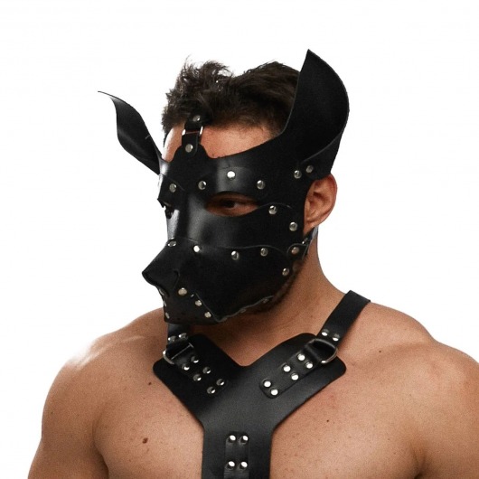 Черная кожаная маска «Собака» - Crazy Handmade - купить с доставкой в Реутове
