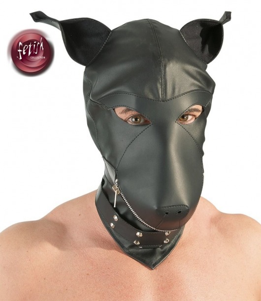 Шлем-маска Dog Mask в виде морды собаки - Orion - купить с доставкой в Реутове