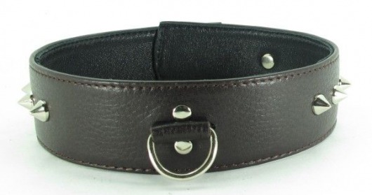 Коричневый кожаный ошейник с кольцом увеличенного размера - БДСМ Арсенал - купить с доставкой в Реутове