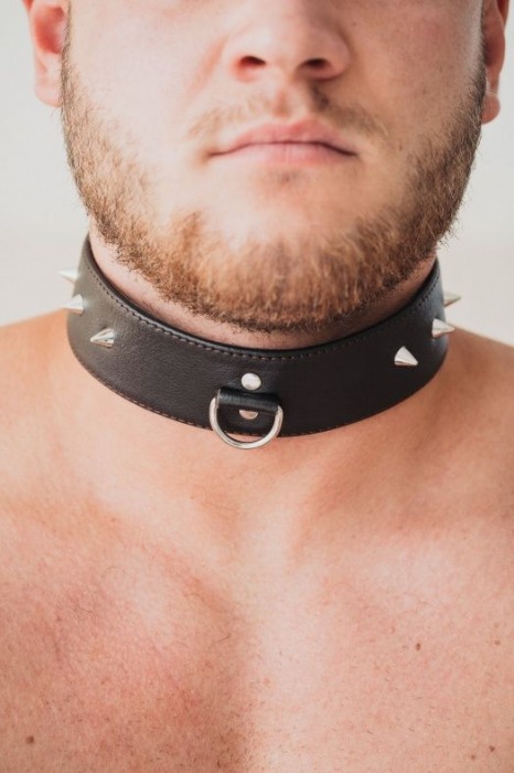 Коричневый кожаный ошейник с кольцом увеличенного размера - БДСМ Арсенал - купить с доставкой в Реутове