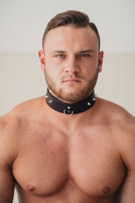 Коричневый кожаный ошейник с кольцом увеличенного размера - БДСМ Арсенал - купить с доставкой в Реутове