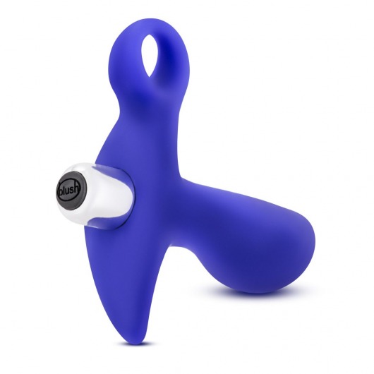 Синий стимулятор простаты с ручкой-кольцом Performance Prostimulator 02 - Blush Novelties - в Реутове купить с доставкой