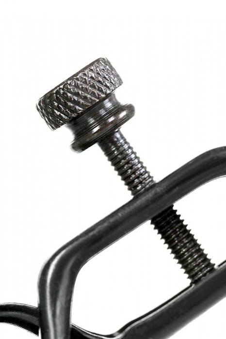 Черно-золотистые зажимы для сосков TOYFA Theatre - ToyFa - купить с доставкой в Реутове