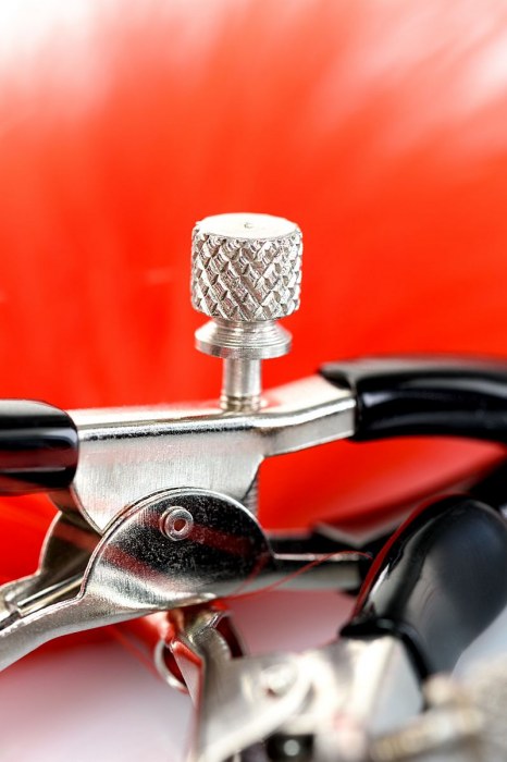 Зажимы для сосков с красным пухом Theatre - ToyFa - купить с доставкой в Реутове